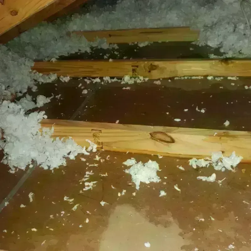 Attic Water Damage in Chaffee County, CO