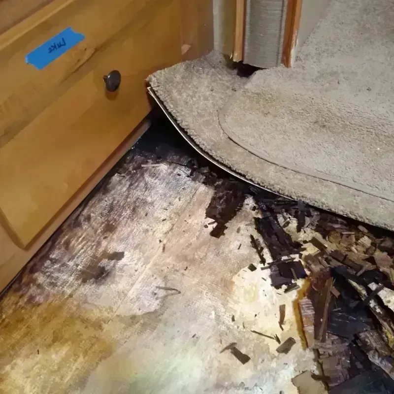 Wood Floor Water Damage in Chaffee County, CO